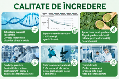 🏆 Magazin Oficial | 🌿 GLORENDA® Moringa · Berberină × NAD+ Plasture Avansat Nano cu Microace 10 în 1 (Doar o dată pe zi, schimbări vizibile în 7 zile) ✅ Pentru obezitate, piele lăsată, diabet, apnee în somn, probleme articulare și multe altele